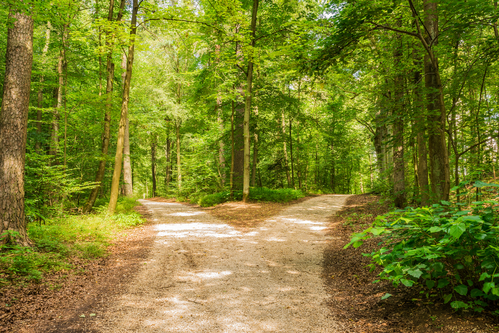 Intuition or Anxiety? How to Tell What You’re Really Sensing